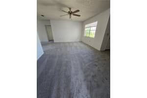 809 GREEN VALLEY ROAD, PALM HARBOR, FL 34683 - MLS#MFRTB8383132