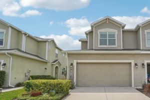513 Harbor Springs Dr, PALM HARBOR