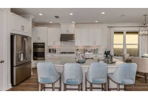 29837 IMPERATI BOULEVARD, WESLEY CHAPEL, FL 33543 - MLS#MFRTB8383198
