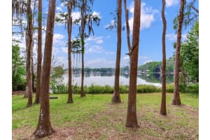 7216 MOBLEY ROAD, ODESSA, FL 33556 - MLS#MFRTB8383205