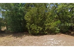 2672 WILLOW TERRACE, HOMOSASSA, FL 34448 Sold 08/05/25