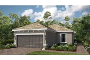 29524 Zupetta Ln, WESLEY CHAPEL
