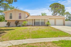 6607 LARIMER DRIVE, TAMPA, FL 33615 Sold 06/30/25
