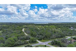 3156 FORGET ME NOT AVENUE, LAKE PLACID, FL 33852 - MLS#MFRTB8383266