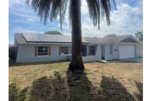11010 SALT TREE DRIVE, PORT RICHEY, FL 34668 - MLS#MFRTB8383282