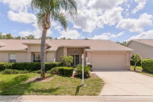 1142 SWEET JASMINE DRIVE, TRINITY, FL 34655 Sold 06/23/25