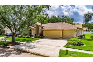 17711 HAMPSHIRE OAK DRIVE, TAMPA, FL 33647 Sold 07/28/25
