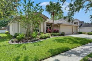 17711 HAMPSHIRE OAK DRIVE, TAMPA, FL 33647 Sold 07/28/25
