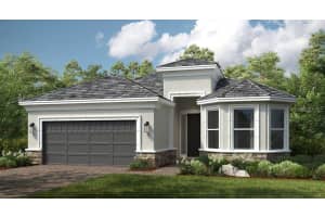 29825 Imperati Blvd, WESLEY CHAPEL