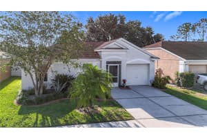 12426 DAWN VISTA DRIVE, RIVERVIEW, FL 33578 Sold 07/31/25