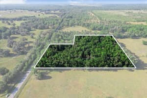 15099 CITRUS WAY, BROOKSVILLE, FL 34601 - MLS#MFRTB8383345