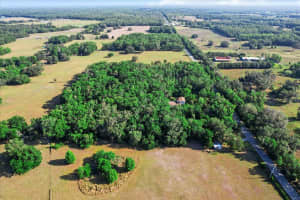 15099 CITRUS WAY, BROOKSVILLE, FL 34601 - MLS#MFRTB8383345