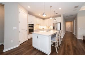 19877 SEA GLASS CIRCLE, LAND O LAKES, FL 34638 Sold 07/23/25