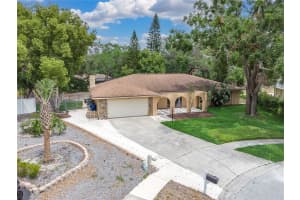 30 PINETREE COURT, PALM HARBOR, FL 34683 Sold 06/18/25