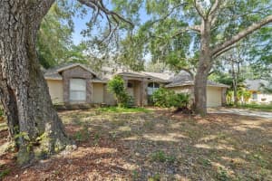 6237 GREENWICH DRIVE, TAMPA, FL 33647 - MLS#MFRTB8383378