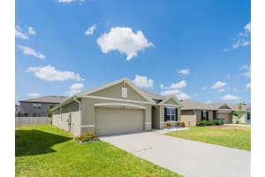 8891 BOWER BASS CIRCLE, WESLEY CHAPEL, FL 33545 - MLS#MFRTB8383379