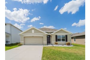 8891 BOWER BASS CIRCLE, WESLEY CHAPEL, FL 33545 - MLS#MFRTB8383379