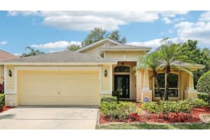 10150 HEATHER SOUND DRIVE, TAMPA, FL 33647 Sold 07/01/25