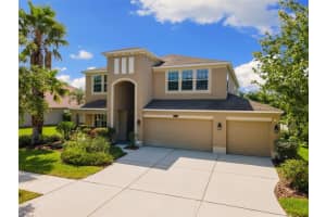 10837 Breaking Rocks Dr, TAMPA