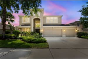 10837 BREAKING ROCKS DRIVE, TAMPA, FL 33647 - MLS#MFRTB8383391