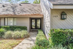 1103 OLD MILL POND ROAD, PALM HARBOR, FL 34683 - MLS#MFRTB8383394