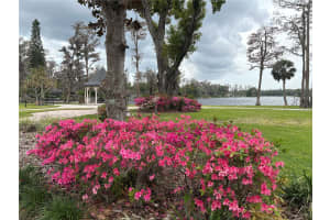 919 BALLINGER ROAD, LUTZ, FL 33548 Sold 08/13/25