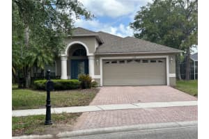 , TAMPA