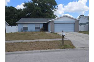 12825 Tallowood Dr, RIVERVIEW