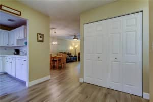 2913 FIG COURT, PALM HARBOR, FL 34684 - MLS#MFRTB8383672