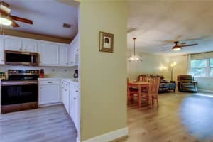2913 FIG COURT, PALM HARBOR, FL 34684 - MLS#MFRTB8383672