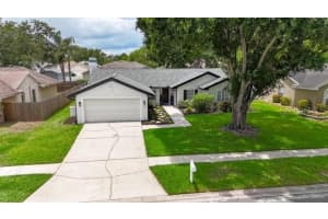 10412 TARA DRIVE, RIVERVIEW, FL 33578 Sold 07/02/25