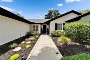 10412 TARA DRIVE, RIVERVIEW, FL 33578 Sold 07/02/25
