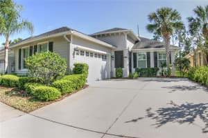 6820 Muncaster Ct, TAMPA