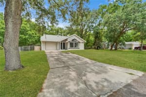 23739 FOREST VIEW DRIVE, LAND O LAKES, FL 34639 Sold 07/10/25