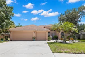 490 KNIGHT DRIVE, TARPON SPRINGS, FL 34688 Sold 06/26/25