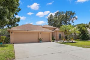 490 KNIGHT DRIVE, TARPON SPRINGS, FL 34688 Sold 06/26/25
