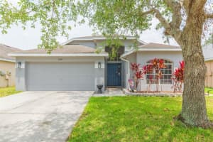 34447 BLUE ASH COURT, WESLEY CHAPEL, FL 33545 Sold 07/02/25