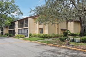 14107 Mossy Glen Ln #203, TAMPA