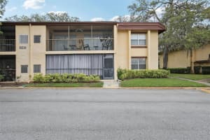 14107 MOSSY GLEN LANE, TAMPA, FL 33613 - MLS#MFRTB8383976