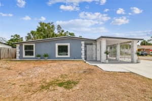 8006 TANGLEWOOD LANE, TAMPA, FL 33615 - MLS#MFRTB8383980