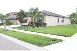 11617 BRIGHTON KNOLL LOOP, RIVERVIEW, FL 33579 - MLS#MFRTB8383988