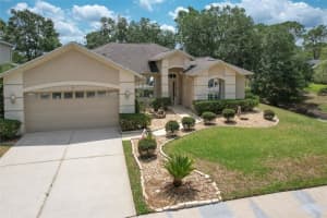 3350 Stonebridge Trl, VALRICO
