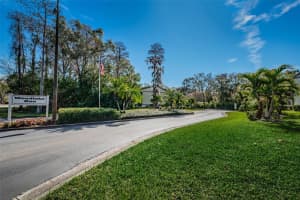 124 WOODLAKE WYNDE, OLDSMAR, FL 34677 - MLS#MFRTB8384072