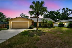 11315 ARMENIA AVENUE, TAMPA, FL 33612 Sold 06/27/25