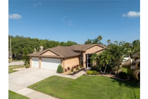 1447 STETSON DRIVE, WESLEY CHAPEL, FL 33543 - MLS#MFRTB8384089