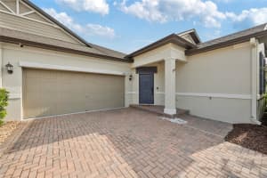 16866 BALANCE COVE, LAND O LAKES, FL 34638 - MLS#MFRTB8384128
