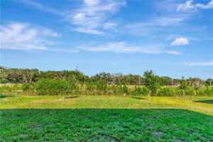9734 BRANCHING SHIP TRACE, WESLEY CHAPEL, FL 33545 Sold 07/18/25