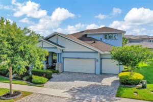 4093 EPIC COVE, LAND O LAKES, FL 34638 - MLS#MFRTB8384157
