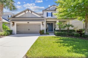 9317 BELLA VITA CIRCLE, LAND O LAKES, FL 34637 Sold 09/08/25