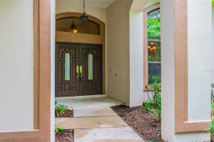5313 BURCHETTE ROAD, TAMPA, FL 33647 - MLS#MFRTB8384170